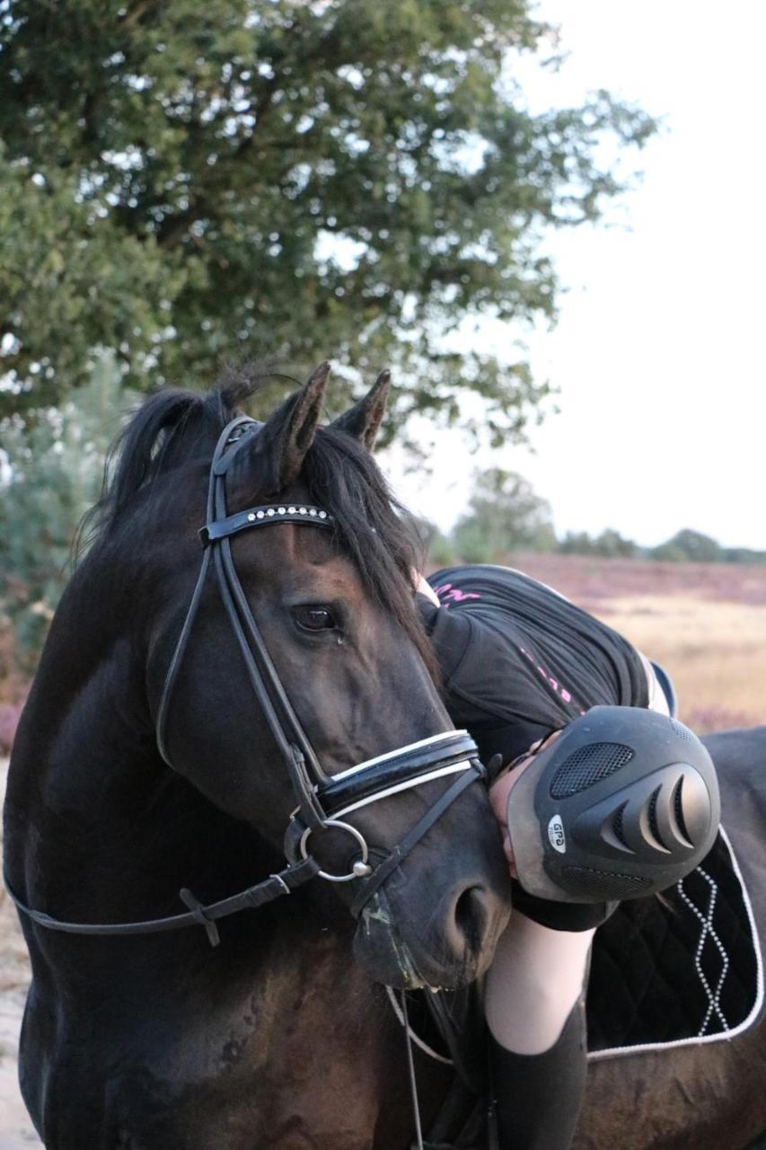Magnolia Hoeve - Unieke Bestemming Voor Paardenliefhebbers En Bijzondere Overnachtingen In De Natuur Ledeacker Buitenkant foto