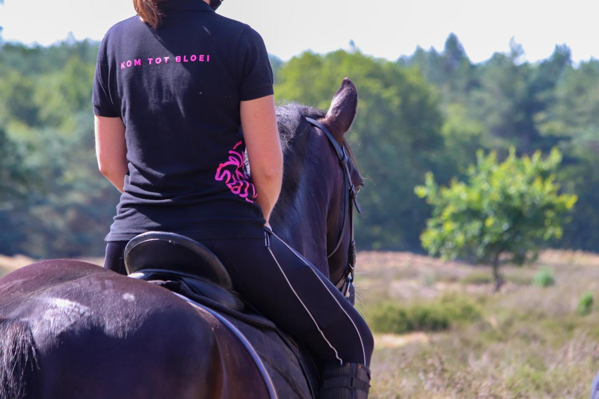 Magnolia Hoeve - Unieke Bestemming Voor Paardenliefhebbers En Bijzondere Overnachtingen In De Natuur Ledeacker Buitenkant foto