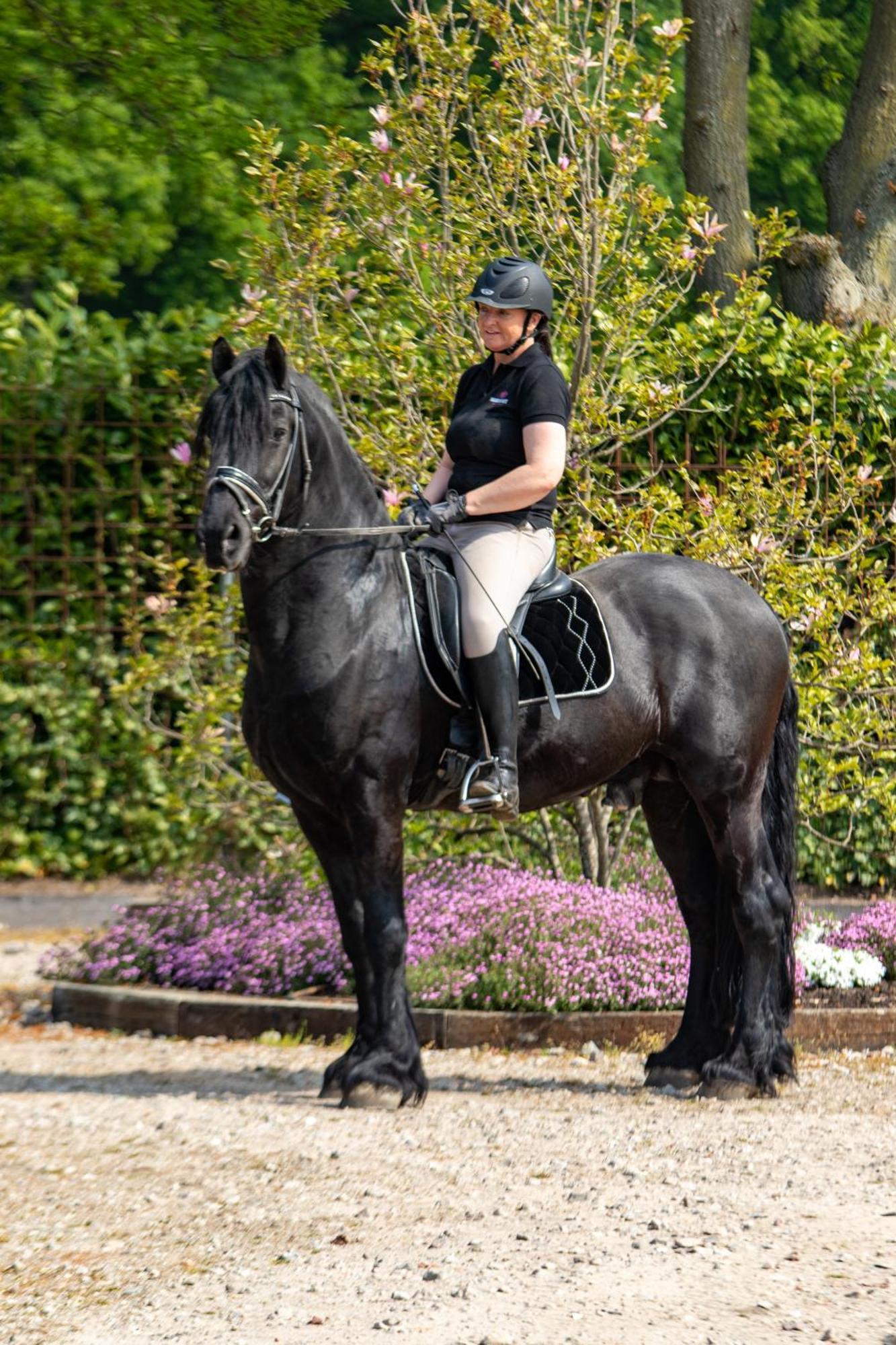 Magnolia Hoeve - Unieke Bestemming Voor Paardenliefhebbers En Bijzondere Overnachtingen In De Natuur Ledeacker Buitenkant foto