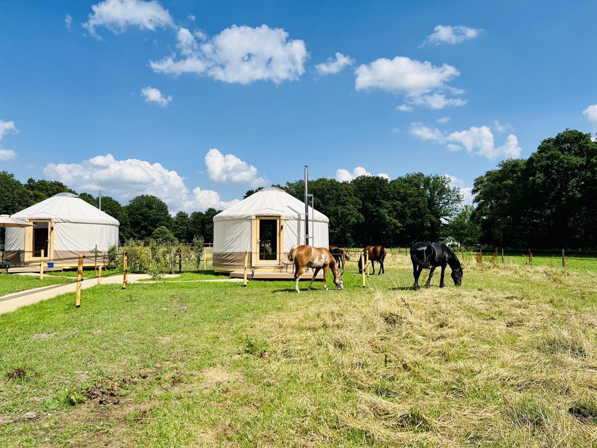 Magnolia Hoeve - Unieke Bestemming Voor Paardenliefhebbers En Bijzondere Overnachtingen In De Natuur Ledeacker Buitenkant foto