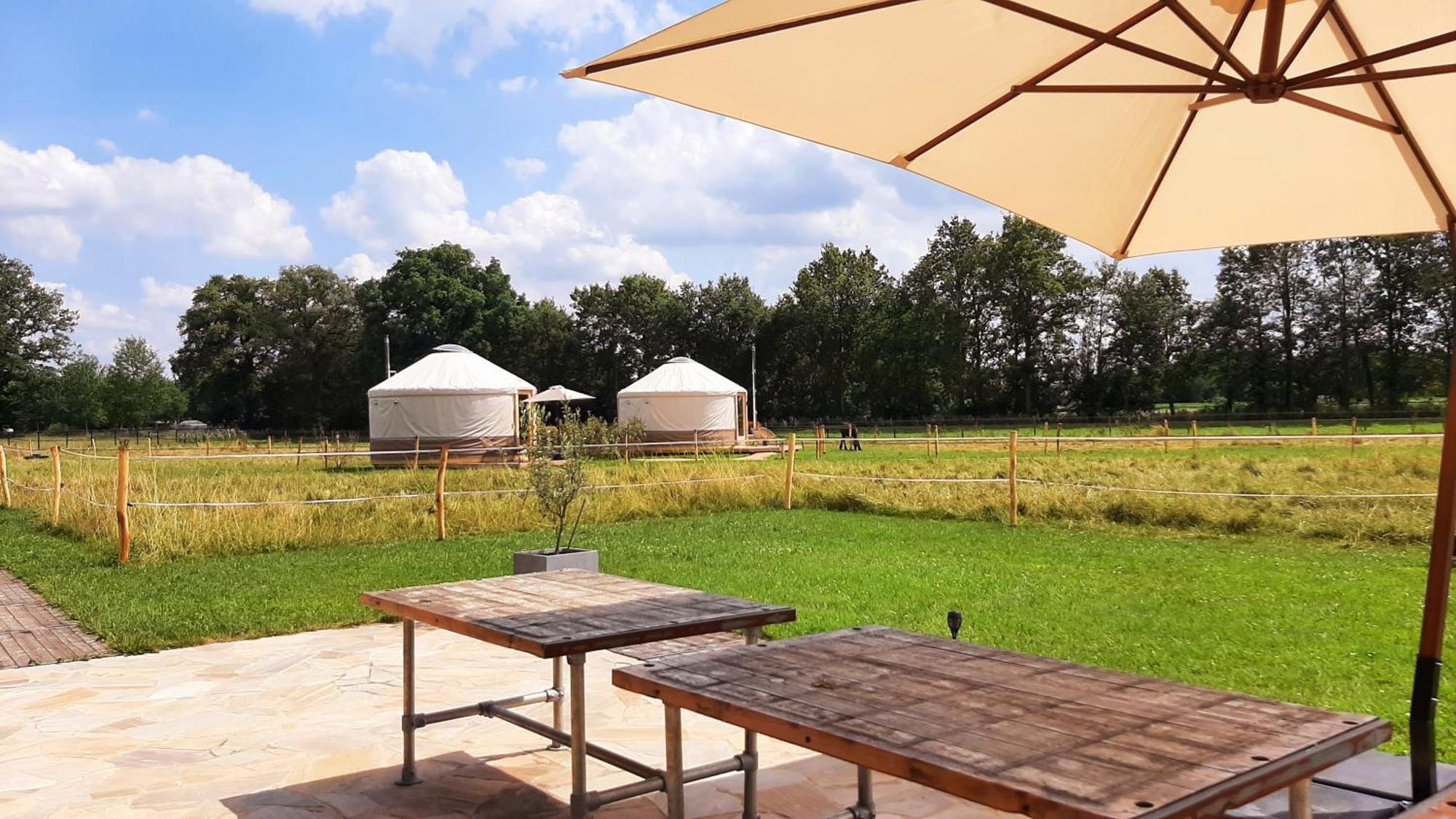 Magnolia Hoeve - Unieke Bestemming Voor Paardenliefhebbers En Bijzondere Overnachtingen In De Natuur Ledeacker Buitenkant foto