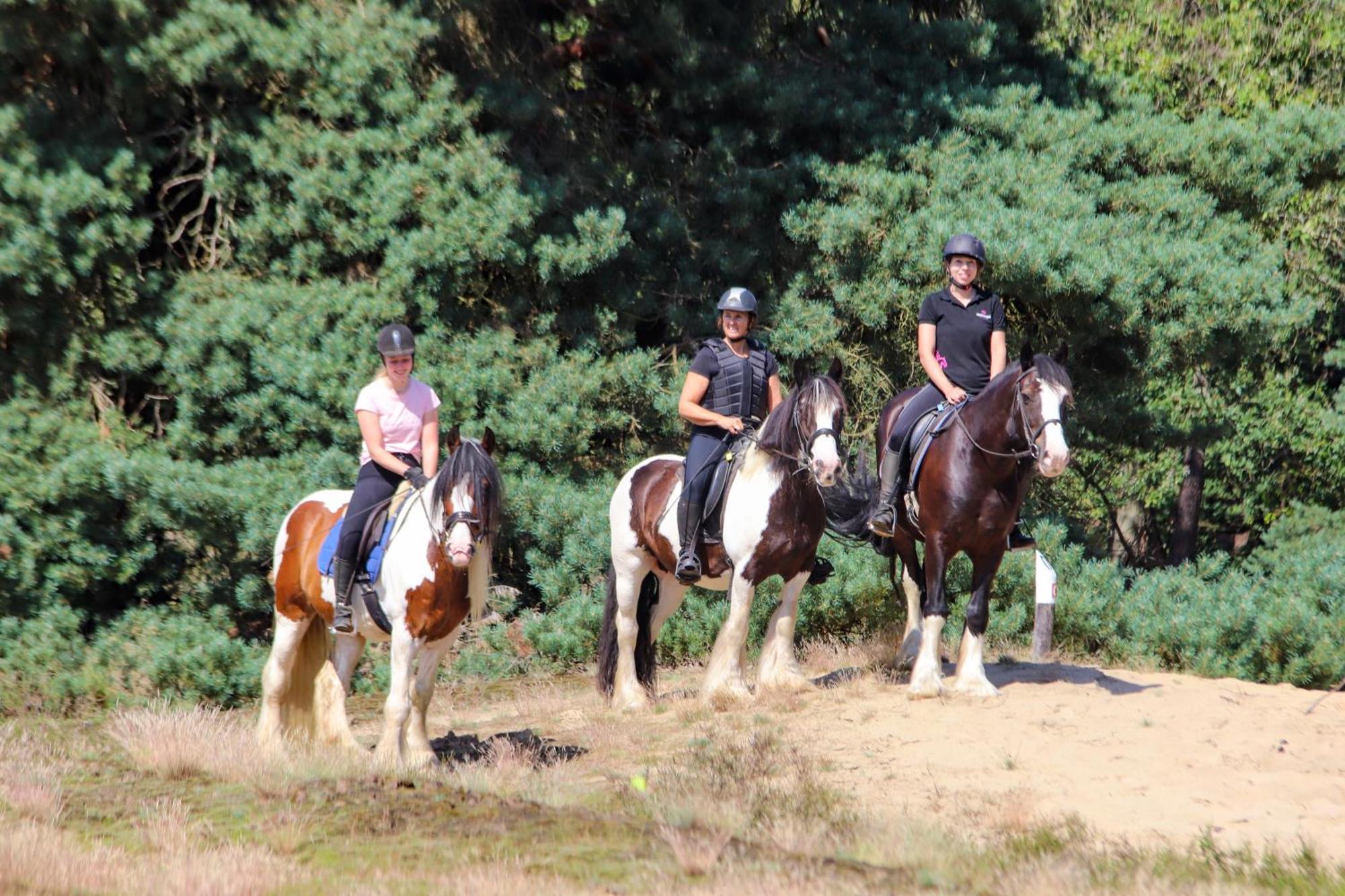 Magnolia Hoeve - Unieke Bestemming Voor Paardenliefhebbers En Bijzondere Overnachtingen In De Natuur Ledeacker Buitenkant foto