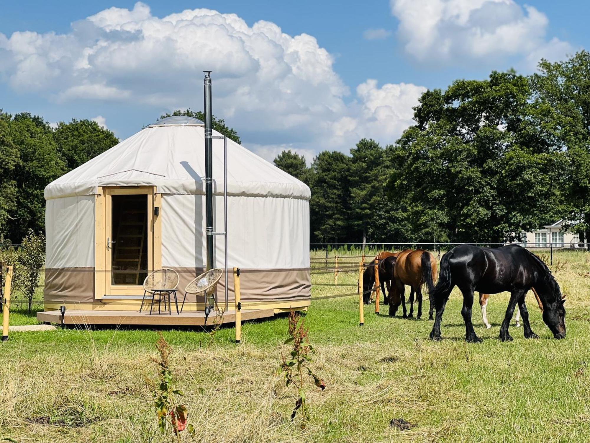 Magnolia Hoeve - Unieke Bestemming Voor Paardenliefhebbers En Bijzondere Overnachtingen In De Natuur Ledeacker Buitenkant foto
