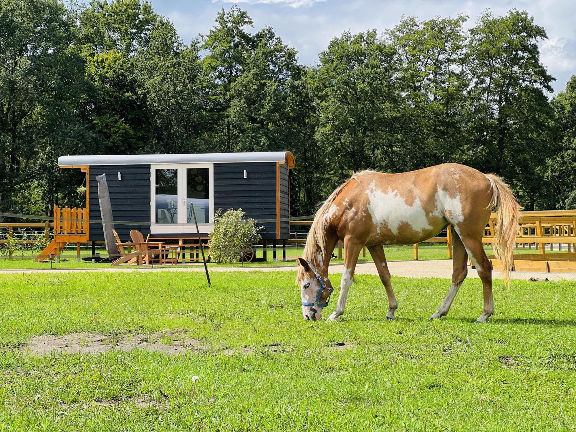 Magnolia Hoeve - Unieke Bestemming Voor Paardenliefhebbers En Bijzondere Overnachtingen In De Natuur Ledeacker Buitenkant foto