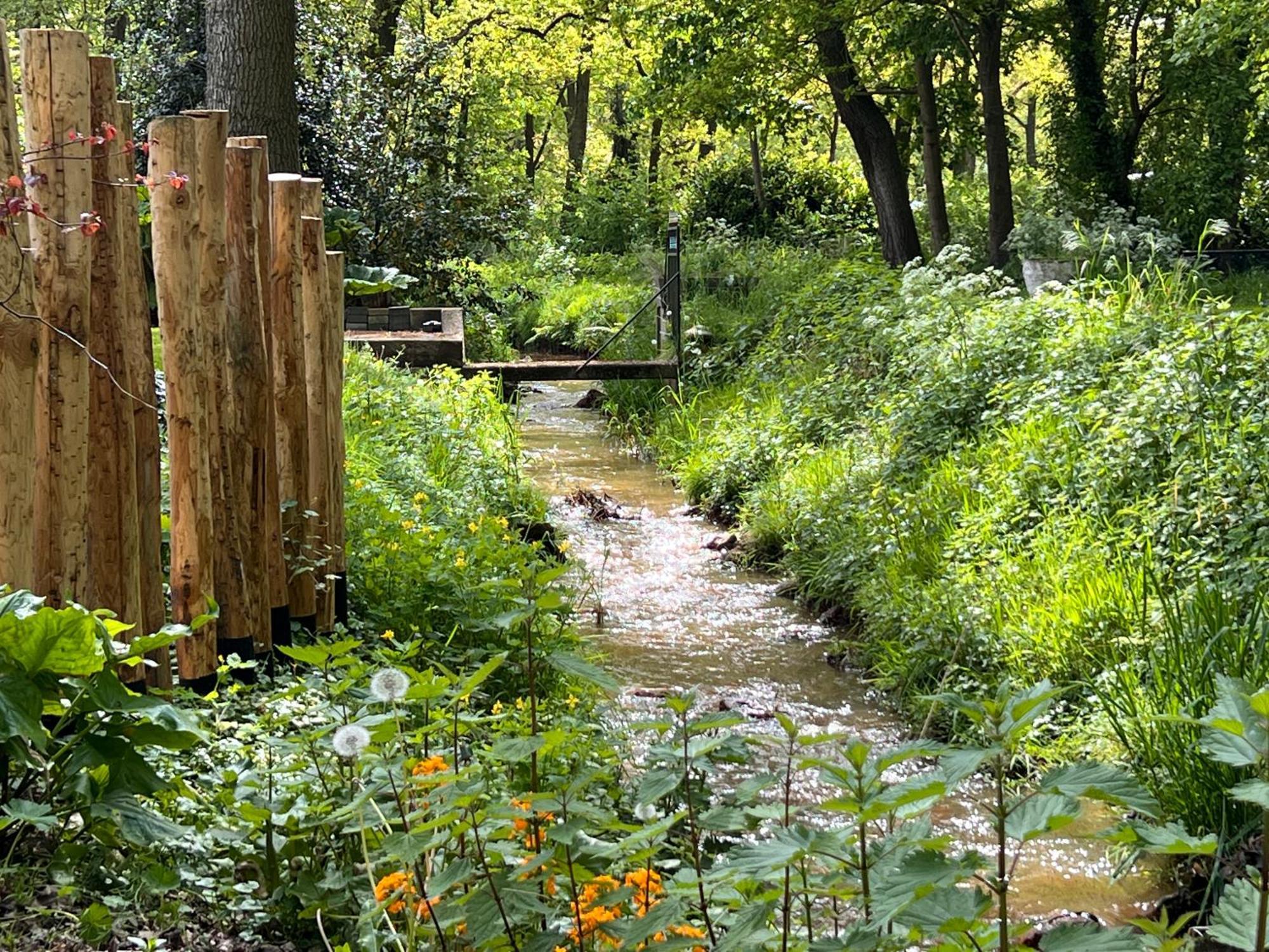 Magnolia Hoeve - Unieke Bestemming Voor Paardenliefhebbers En Bijzondere Overnachtingen In De Natuur Ledeacker Buitenkant foto